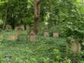 Frankenthal Friedhof 173.jpg (132851 Byte)
