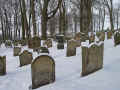 Berlichingen Friedhof 2010026.jpg (102889 Byte)