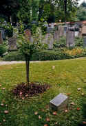 Laupheim Friedhof 174.jpg (99310 Byte)