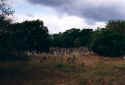 Alsbach Friedhof 106.jpg (49267 Byte)
