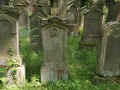 Wiesloch Friedhof 783.jpg (174694 Byte)