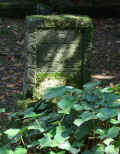 Schortens Friedhof e193re.jpg (129398 Byte)
