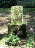 Schortens Friedhof e194li.jpg (169263 Byte)