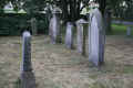 Vechta Friedhof 215.jpg (234313 Byte)