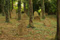 Oberoewisheim Friedhof T189.jpg (276123 Byte)