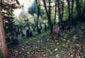 Sulzburg Friedhof 151.jpg (92586 Byte)
