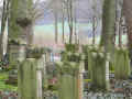Rhoden Friedhof IMG_8431.jpg (209154 Byte)