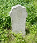 Neubukow Friedhof P1010169.jpg (372256 Byte)