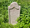 Neubukow Friedhof P1010170.jpg (427990 Byte)