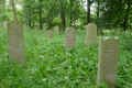 Teterow Friedhof P1010447.jpg (434131 Byte)
