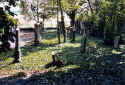 Wallertheim Friedhof 111.jpg (103582 Byte)