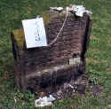 Worms Friedhof 108.jpg (87177 Byte)