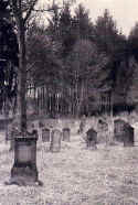 Buttenhausen Friedhof1932.jpg (197682 Byte)