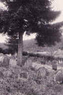 Muehlen Friedhof1932.jpg (189461 Byte)