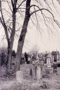 Buchau Friedhof1932.jpg (185624 Byte)