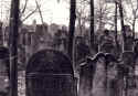 Weikersheim Friedhof10.jpg (120483 Byte)